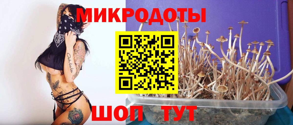 Псилоцибиновые грибы GOLDEN TEACHER  Псилоцибиновые грибы Psilocybe  Вход с VPN  Архангельск 